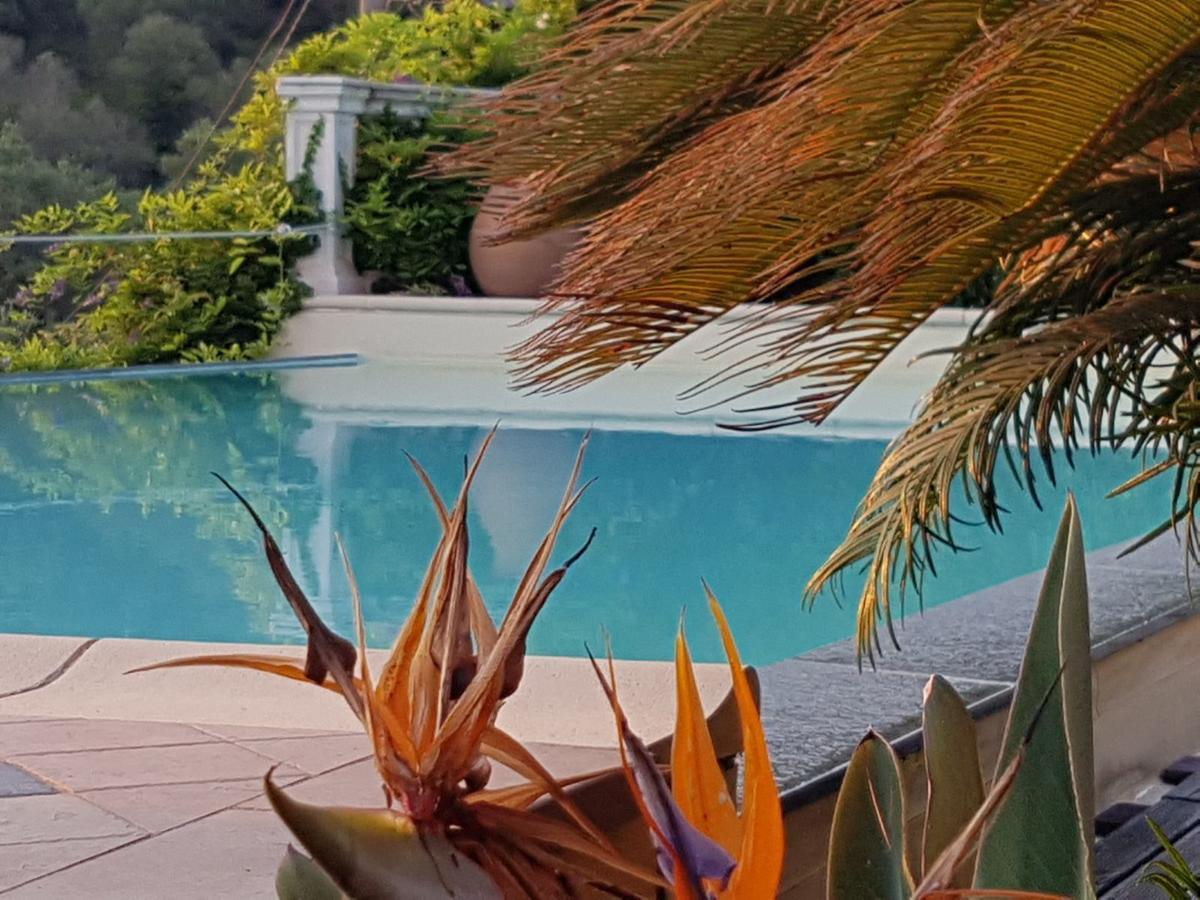 Tenuta Agriturismo Il Risveglio Imperia Exterior foto